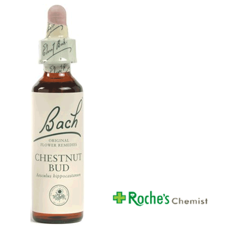 bach-flower-chextnut-bud-20ml.gif