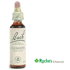 bach-flower-clematis-20ml.gif